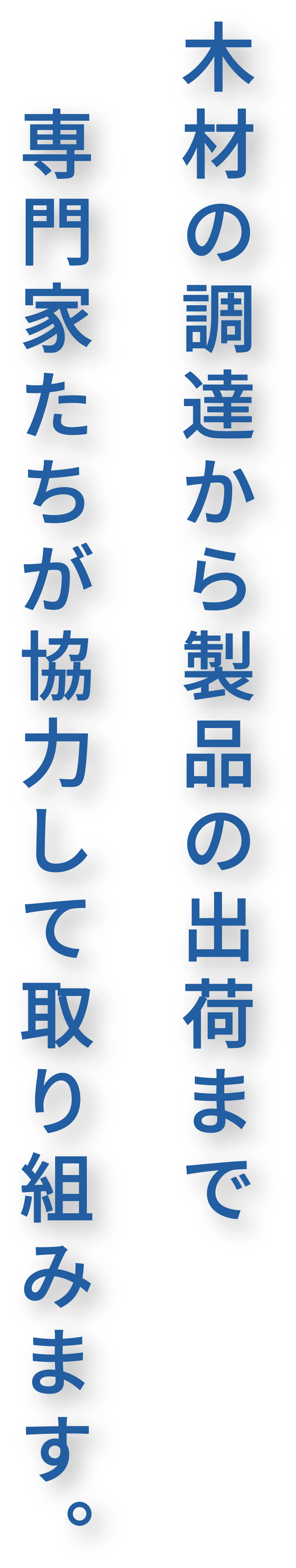 木材の調達から製品の出荷まで　専門家たちが協力して取り組みます。